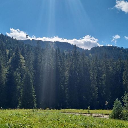 Elit Pamporovo Accommodation المظهر الخارجي الصورة
