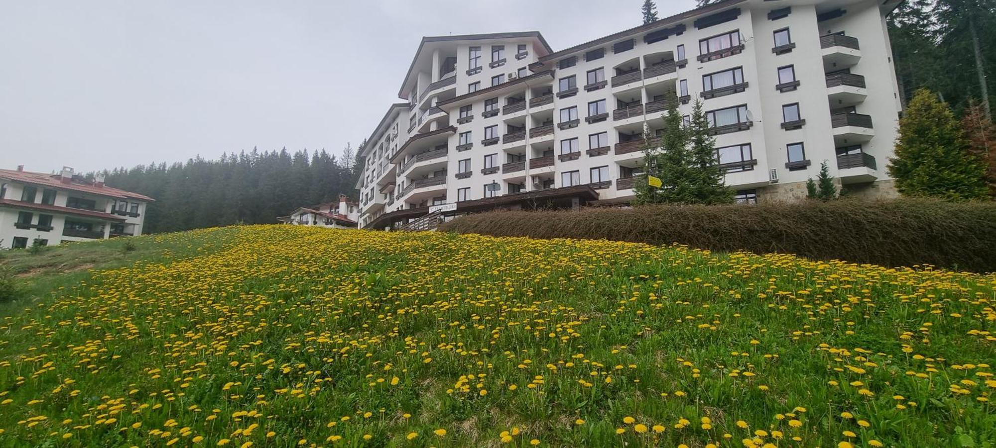 Elit Pamporovo Accommodation المظهر الخارجي الصورة