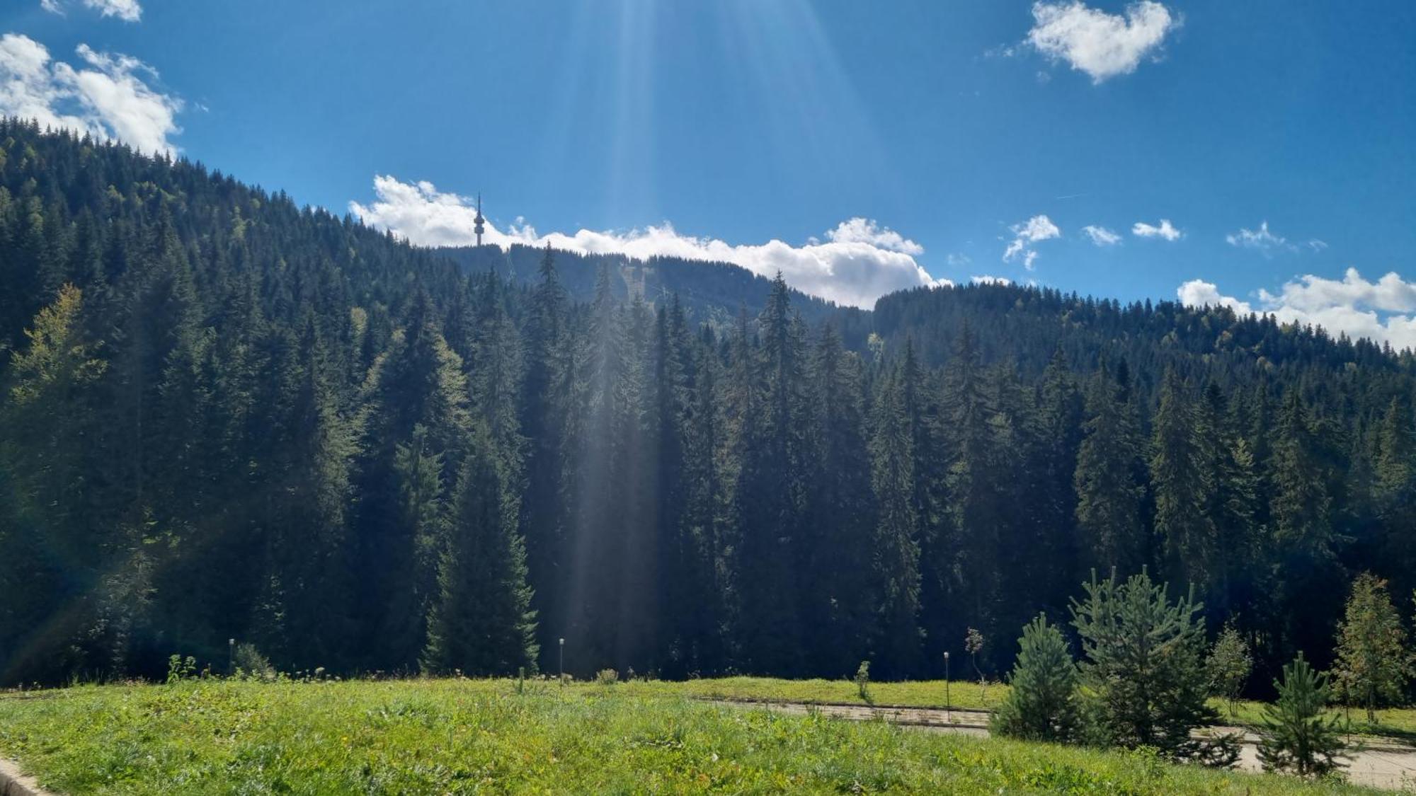 Elit Pamporovo Accommodation المظهر الخارجي الصورة
